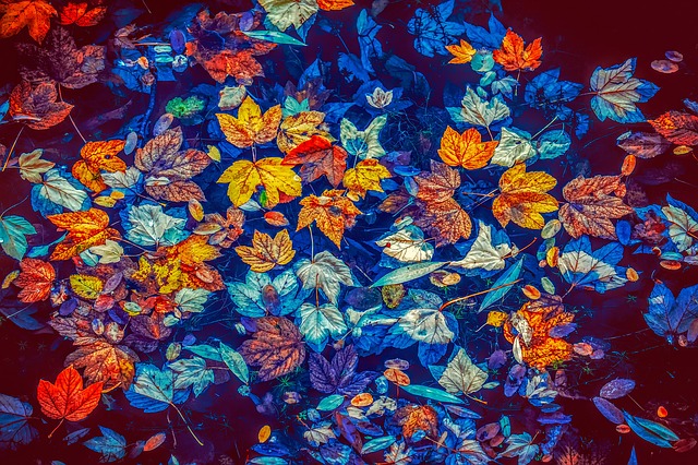 listí